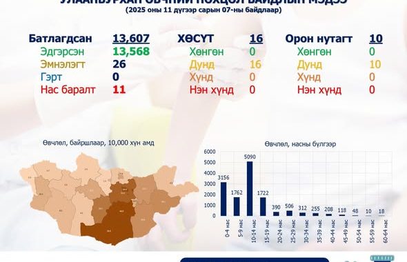 ХӨСҮТ: Улаанбурхан өвчний нийт батлагдсан тохиолдол 13.607 болжээ