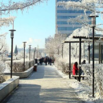 Улаанбаатарт 15 хэмийн хүйтэн байна