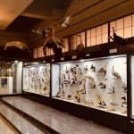 “Музейн нээлттэй өдрүүд” энэ сарын 7-ныг хүртэл үргэлжилнэ