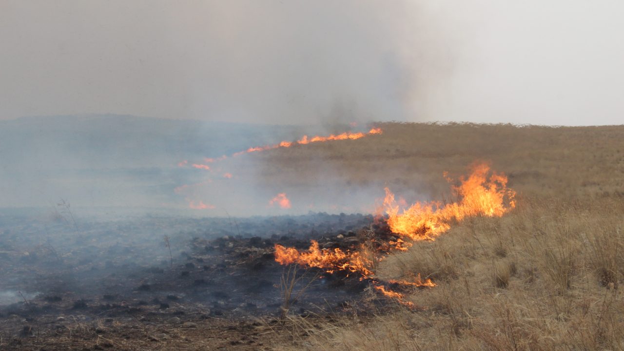 Сэлэнгэ, Дорнод, Ховд аймагт гарсан хээрийн түймрийг унтраажээ