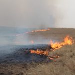 Сэлэнгэ, Дорнод, Ховд аймагт гарсан хээрийн түймрийг унтраажээ