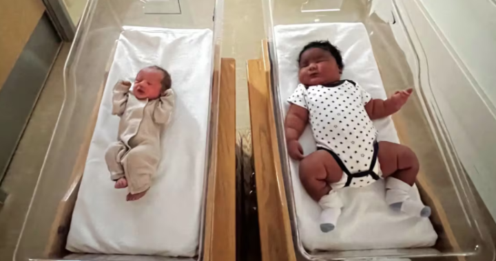 АНУ-ын Нью-Йорк мужийн Итака хотод 6 кг жинтэй хүүхэд төржээ