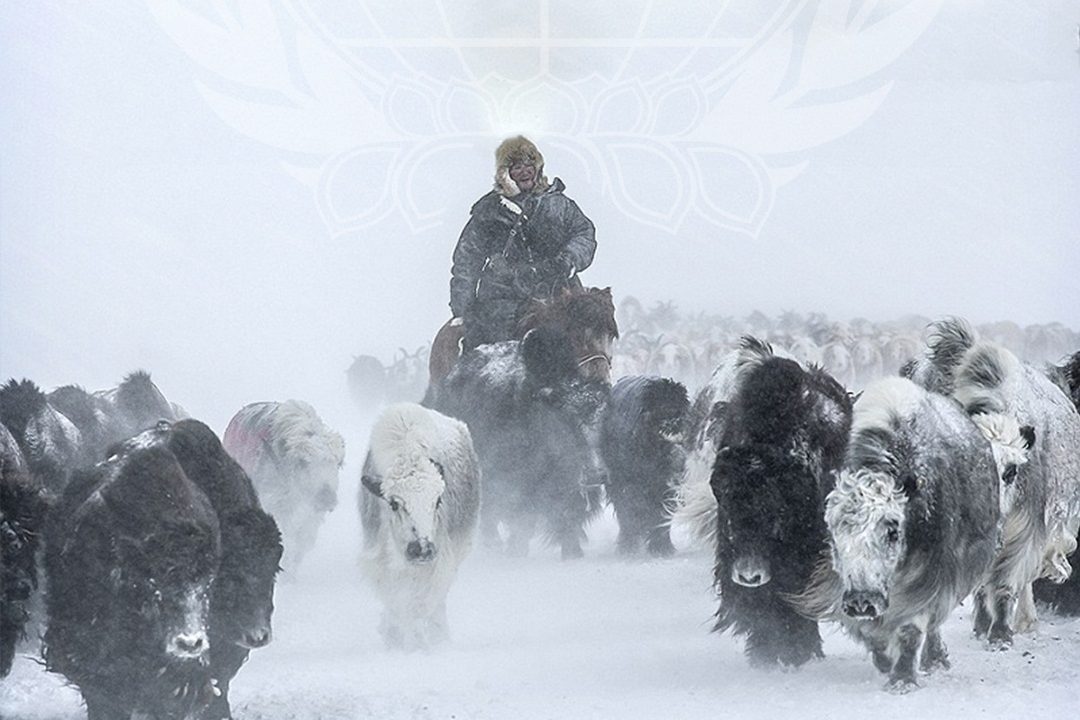 Ихэнх нутгаар хүйтний эрч чангарч, нутгийн өмнөд хэсгээр хүчтэй салхи шуургатай байхыг анхааруулж байна