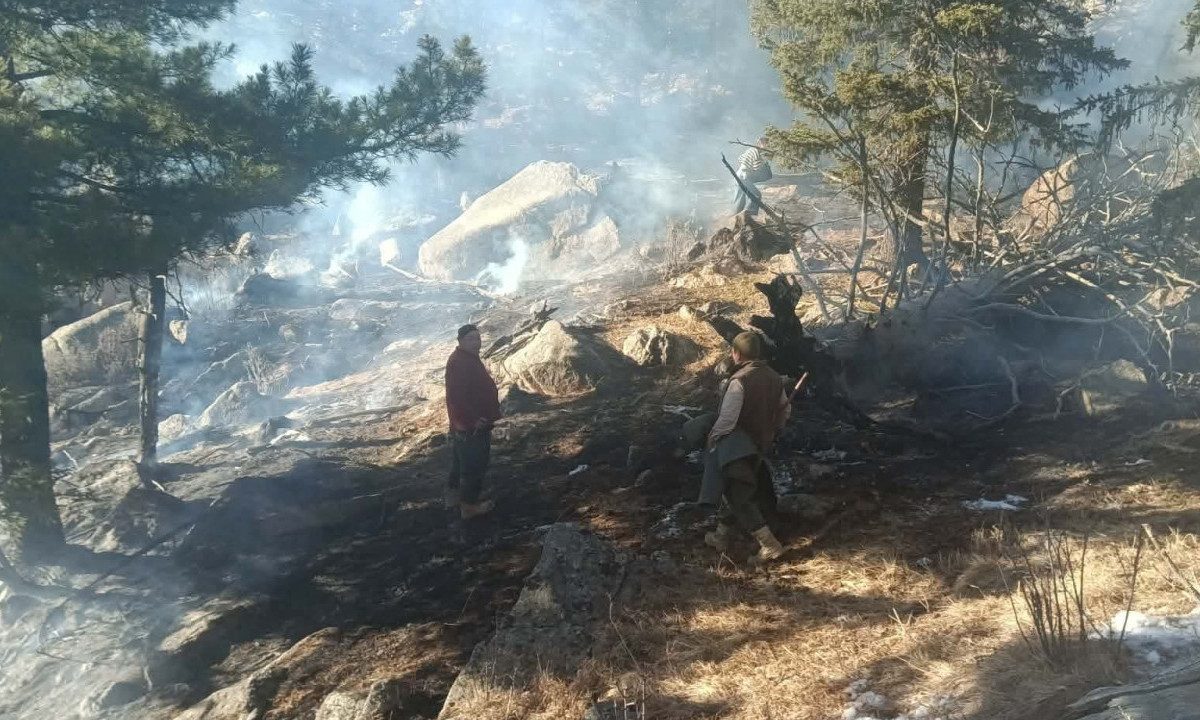 “Манзушир хийд”-ийн орчимд гарсан ойн түймрийг бүрэн унтраасан бөгөөд түймэрт 1.2 га талбай өртжээ