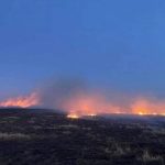 Дорнод аймгийн хоёр суманд хээрийн түймэр гарч, урьдчилсан байдлаар 1202 га талбай шатжээ