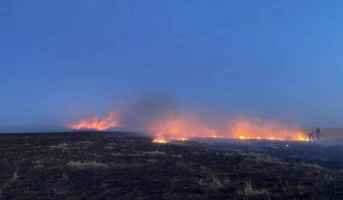Дорнод аймгийн хоёр суманд хээрийн түймэр гарч, урьдчилсан байдлаар 1202 га талбай шатжээ