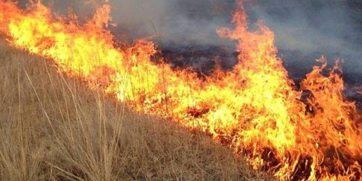 Халх голд гарсан хээрийн түймэрт 105,000 га талбай шатжээ