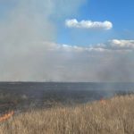 Сүхбаатар аймгийн 3 суманд хээрийн түймэр гарч, 50 мянган га талбай шатжээ