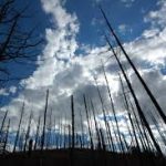 Хөвсгөл аймагт гарсан хээрийн түймрийг бүрэн унтраалаа