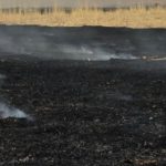 Сүхбаатар суманд гарсан хээрийн түймэрт 120.000 га талбай шатжээ