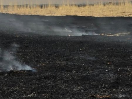 Сүхбаатар суманд гарсан хээрийн түймэрт 120.000 га талбай шатжээ
