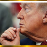 Д.Трамп: АНУ “ялахгүй” гэж хэлэх нь “урвалт”