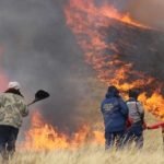 Хэнтий, Дорнод аймагт гарсан хээрийн түймэрт 165 га талбай шатжээ