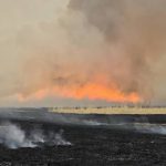 Сүхбаатар аймагт гарсан хээрийн түймрийг унтраахаар ажиллаж байна