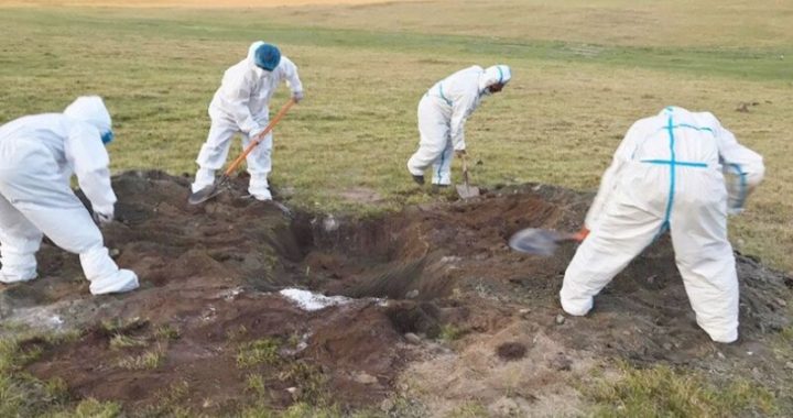 Увс аймгийн Тэс суманд боом өвчнөөр хоёр иргэн өвчилжээ