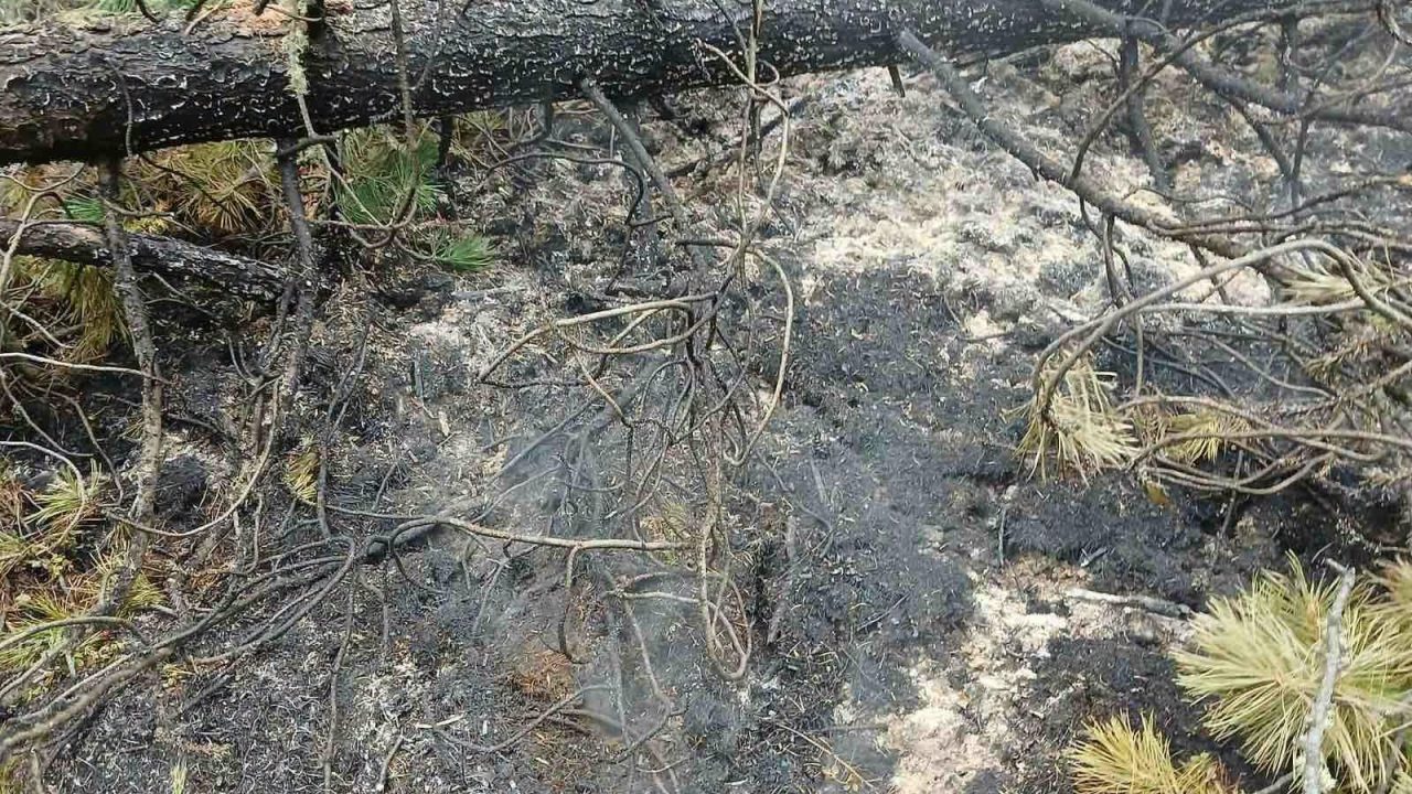 ОХУ-аас орж ирсэн түймэрт Улаан-Уул сумын 80 га талбай шатжээ