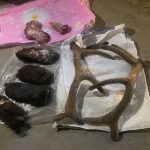 ХУУЛЬ БУСААР АН АГНАХ 90 ГЭМТ ХЭРГИЙН УЛМААС ХҮРЭЭЛЭН БУЙ ОРЧИНД 770 САЯ ТӨГРӨГИЙН ХОХИРОЛ УЧИРЧЭЭ