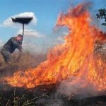Төр хурахын аманд гарсан ойн түймрийг цурманд оруулсан бөгөөд урьдчилсан байдлаар  6 га талбай  шатжээ