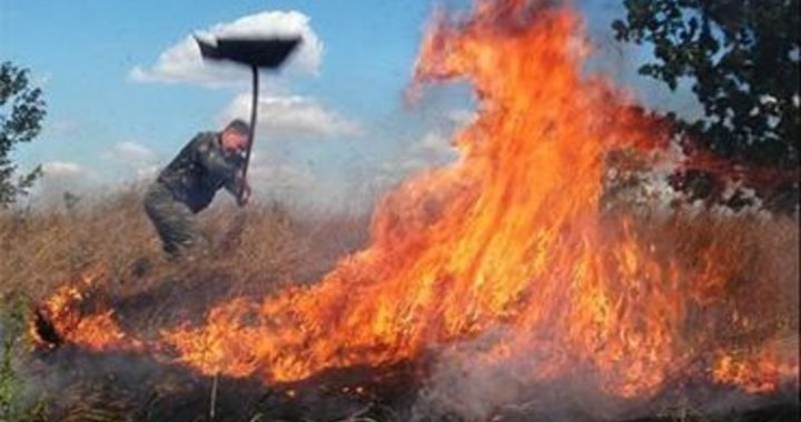Төр хурахын аманд гарсан ойн түймрийг цурманд оруулсан бөгөөд урьдчилсан байдлаар  6 га талбай  шатжээ